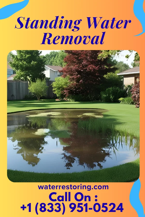Standing Water Removal in Elwood, NE